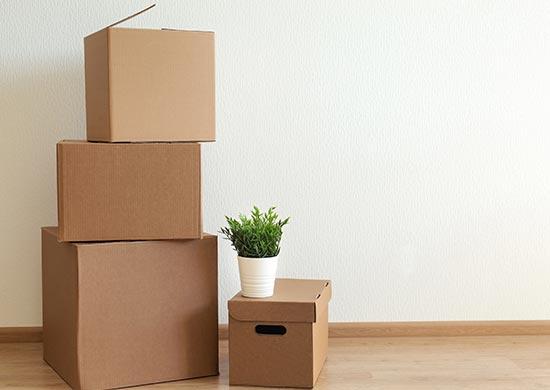 Cheap Movers Belleville